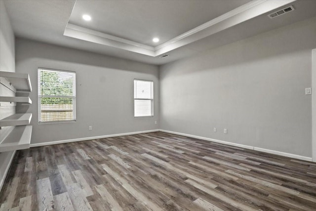 unfurnished room featuring a tray ceiling, plenty of natural light, and dark wood-type flooring