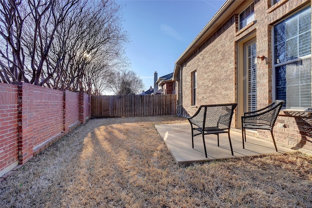 view of yard featuring a patio area