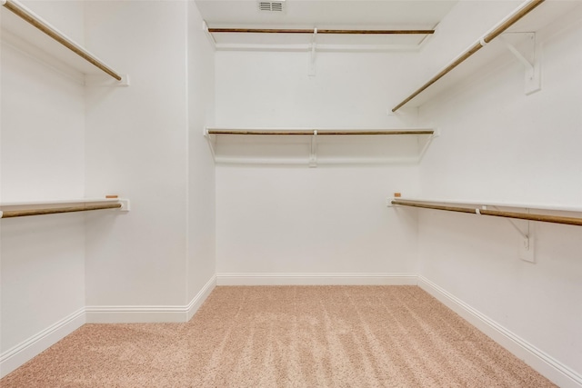 spacious closet featuring carpet floors