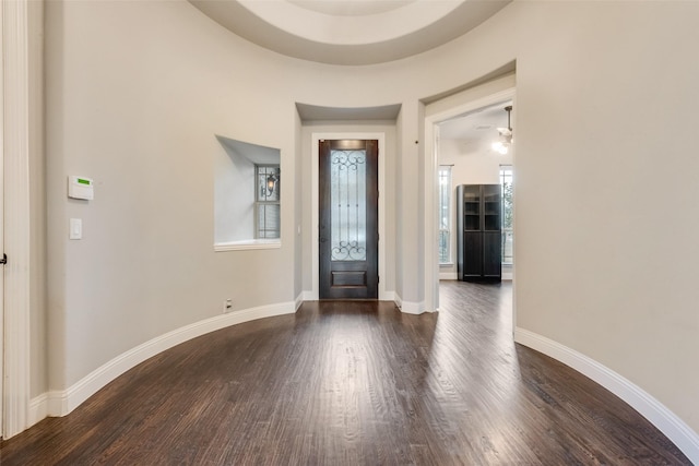 entrance foyer with dark hardwood / wood-style floors