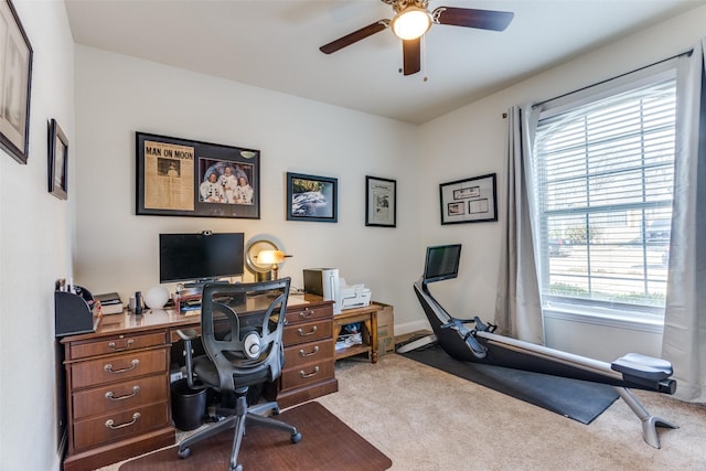 carpeted office with ceiling fan