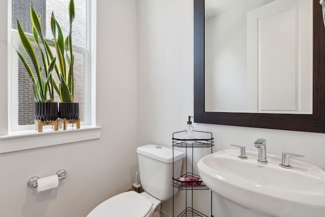 bathroom with sink and toilet