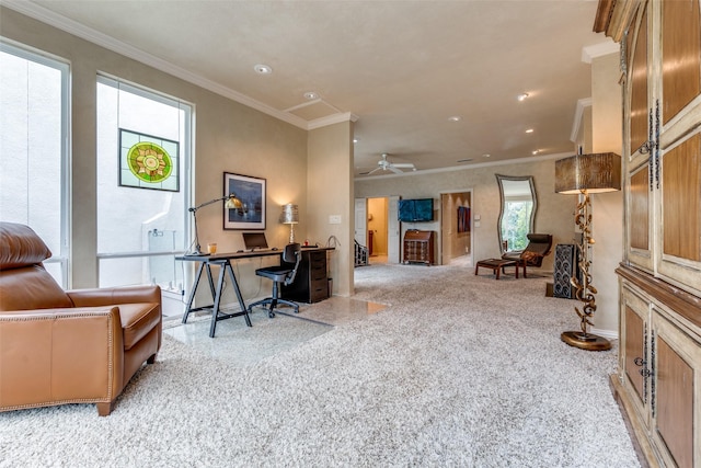 carpeted office with crown molding