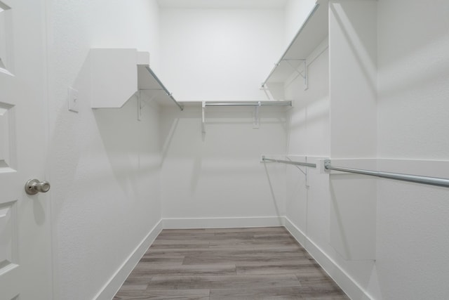 spacious closet featuring light hardwood / wood-style floors