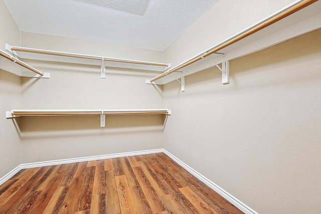 spacious closet with hardwood / wood-style floors