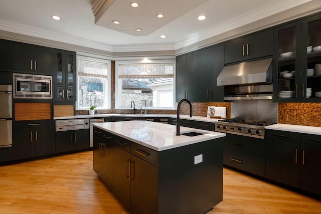 kitchen featuring an island with sink, sink, exhaust hood, stainless steel appliances, and light hardwood / wood-style flooring