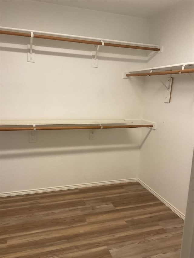 walk in closet featuring dark wood-type flooring