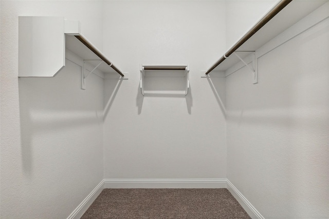 spacious closet with carpet flooring