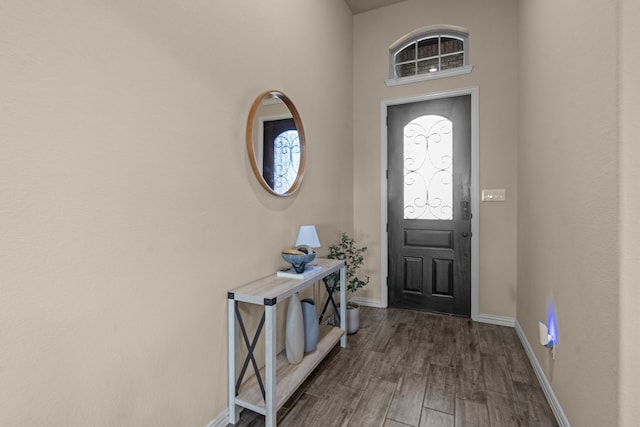 foyer featuring dark hardwood / wood-style flooring