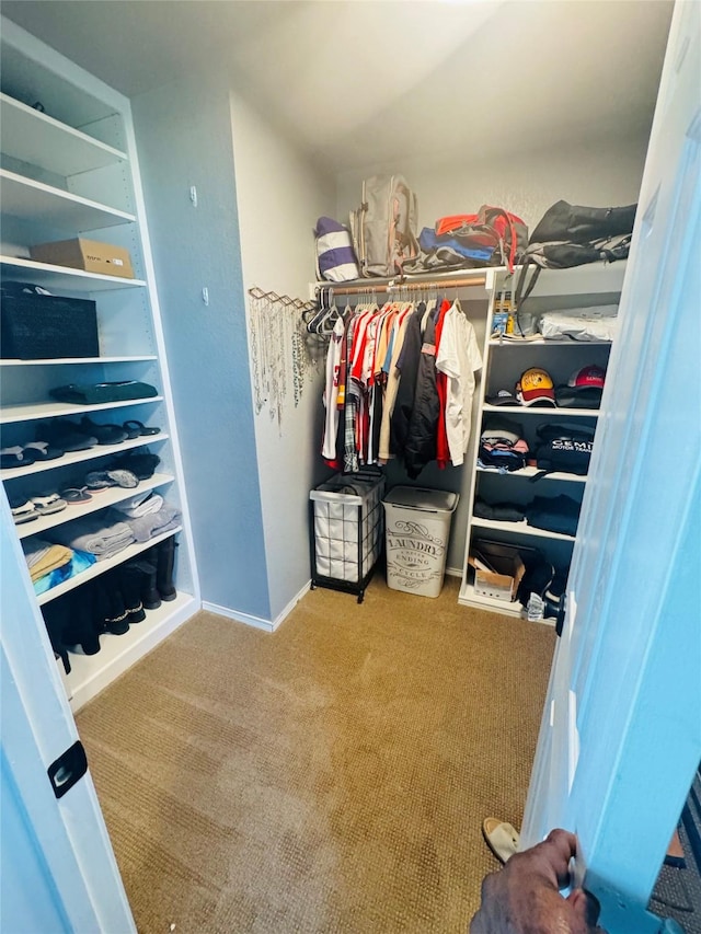 walk in closet with carpet flooring