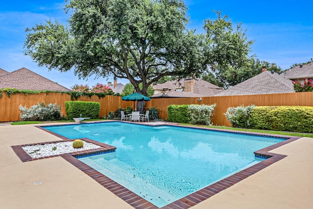 view of swimming pool featuring a patio area and a diving board