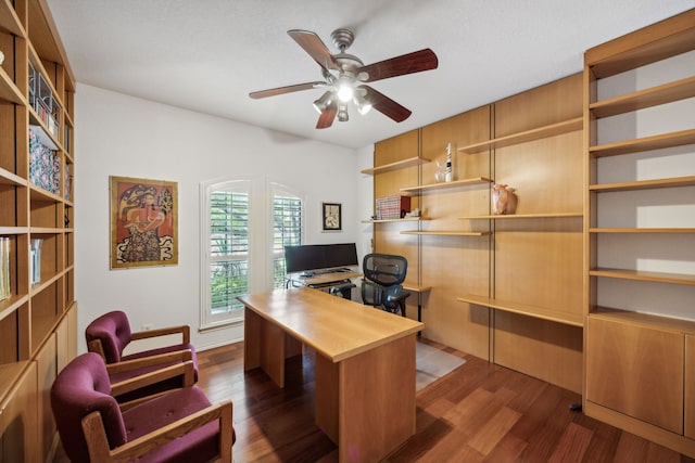 office featuring ceiling fan and dark hardwood / wood-style flooring