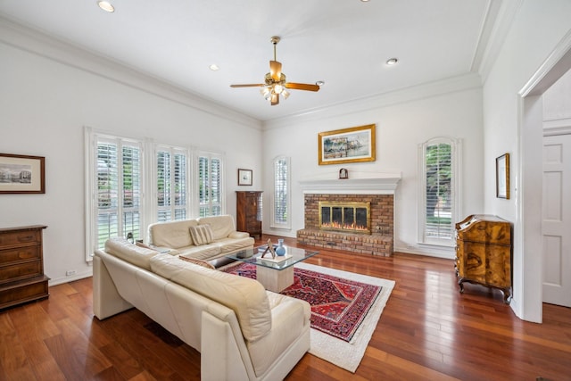 living room with ceiling fan, a fireplace, ornamental molding, and dark hardwood / wood-style flooring