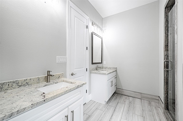 bathroom featuring vanity and a shower with shower door