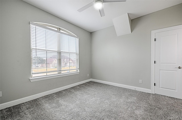 unfurnished room with ceiling fan and carpet