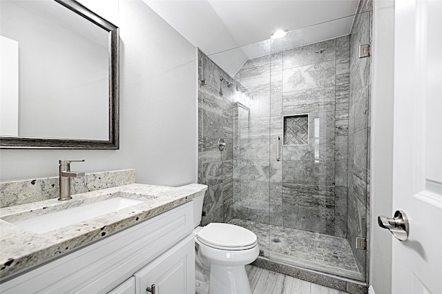 bathroom with vanity, toilet, and a shower with door