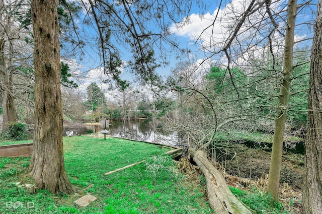 view of yard featuring a water view