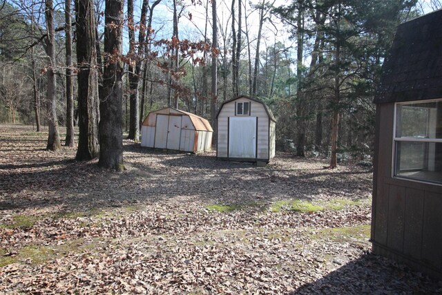 view of yard with a storage shed