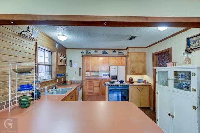 kitchen with sink, crown molding, a textured ceiling, kitchen peninsula, and stainless steel appliances