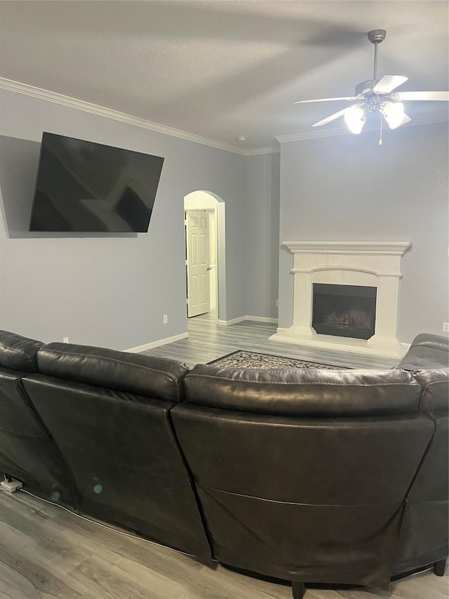 living room featuring crown molding, light hardwood / wood-style floors, and ceiling fan