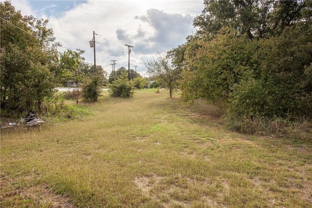 view of yard