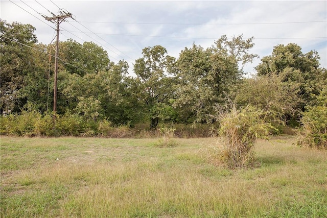 view of local wilderness