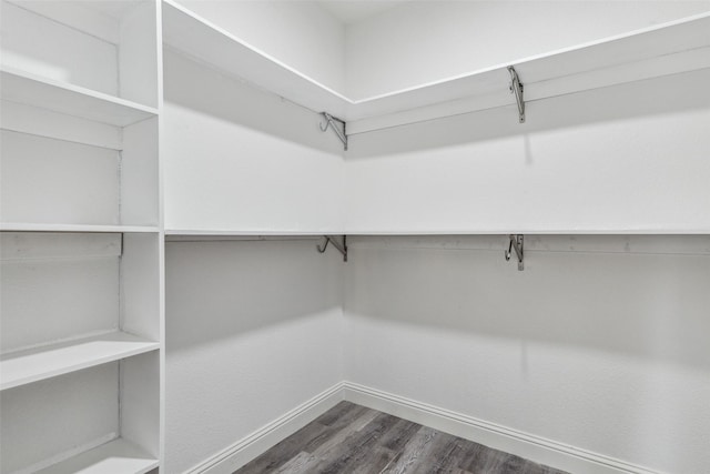 spacious closet with dark hardwood / wood-style flooring