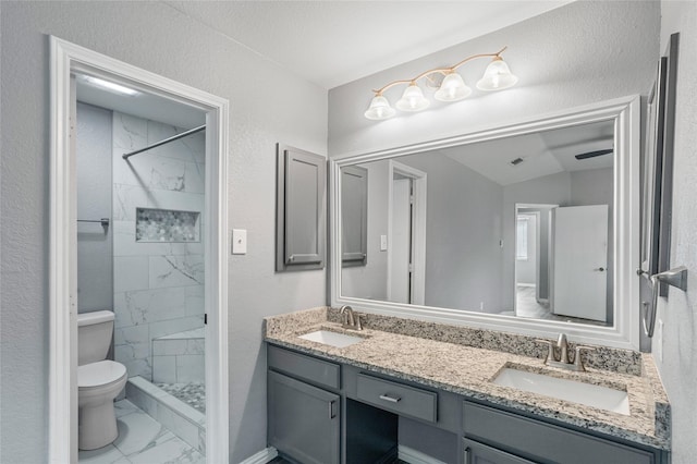 bathroom with vanity, toilet, and a tile shower