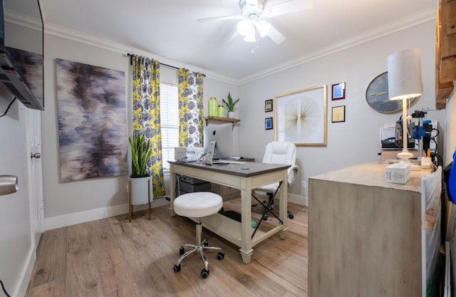 office with crown molding, ceiling fan, baseboards, and light wood-style floors