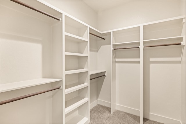 spacious closet featuring carpet flooring