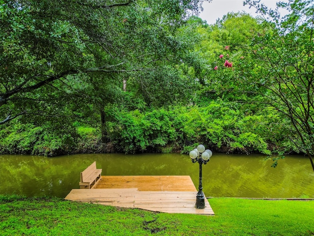 dock area with a water view