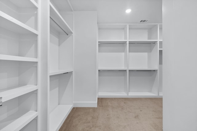 spacious closet with light carpet