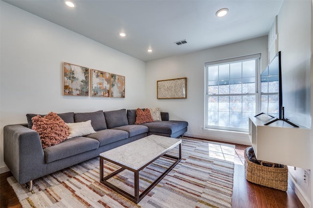 living room featuring wood-type flooring