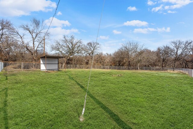 view of yard featuring a storage shed