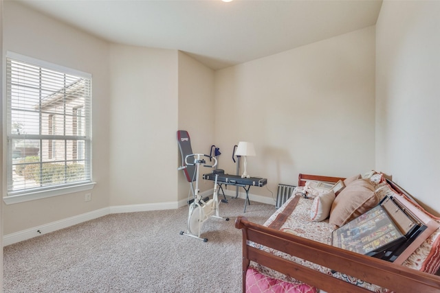 bedroom with carpet flooring