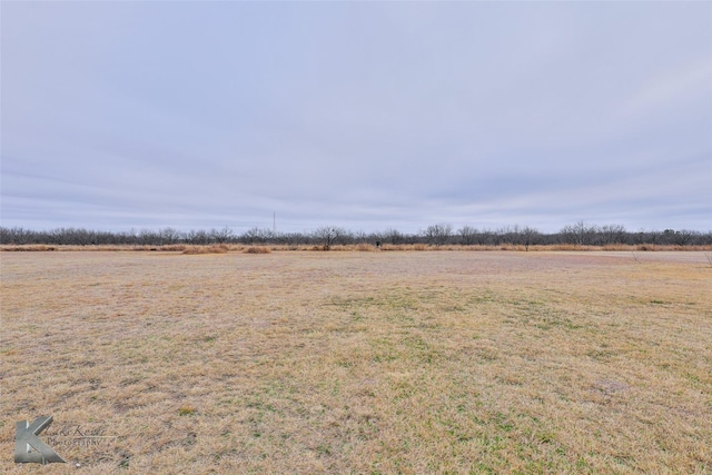 view of yard featuring a rural view