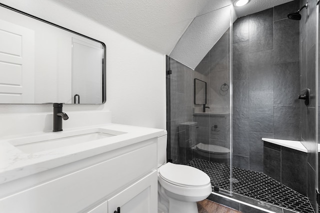 bathroom featuring lofted ceiling, vanity, a textured ceiling, a shower with shower door, and toilet