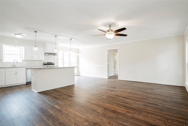 kitchen with hanging light fixtures, appliances with stainless steel finishes, dark hardwood / wood-style floors, a kitchen island, and white cabinets