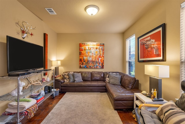 living room featuring dark wood-type flooring