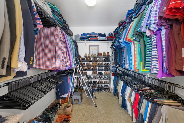 walk in closet featuring carpet floors