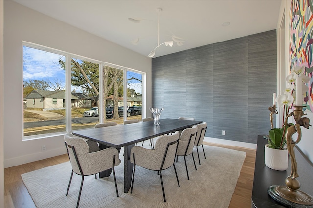 dining room with light hardwood / wood-style flooring