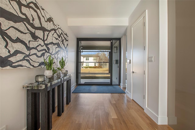 entryway featuring wood-type flooring