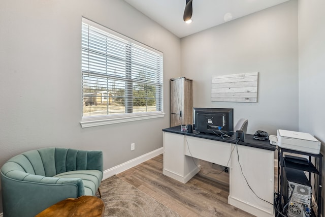 office featuring ceiling fan and light hardwood / wood-style floors