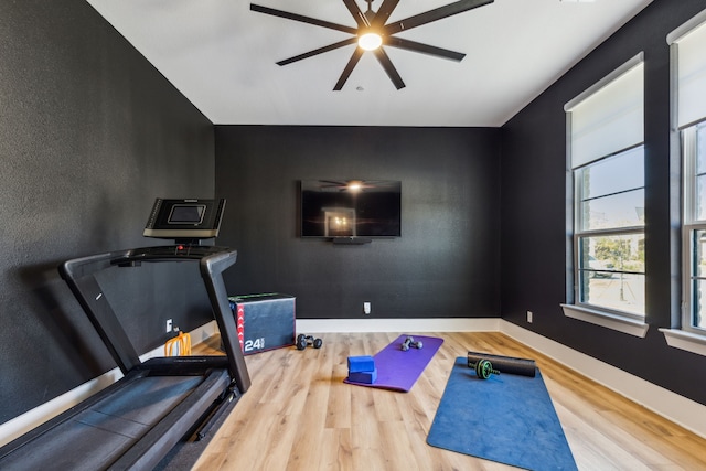 workout room with ceiling fan and light wood-type flooring