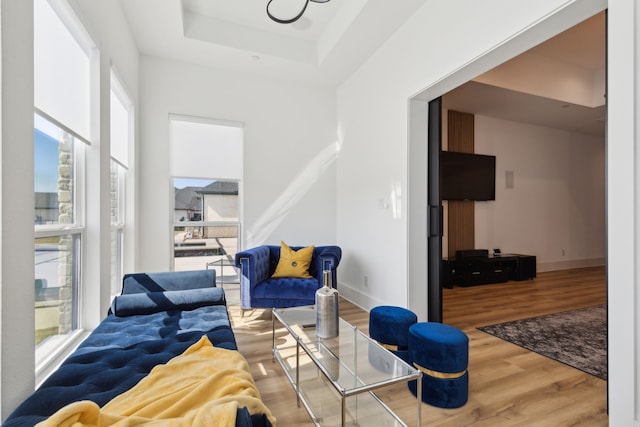 living room with hardwood / wood-style flooring and a raised ceiling