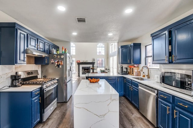 kitchen featuring sink, blue cabinetry, dark hardwood / wood-style floors, and appliances with stainless steel finishes