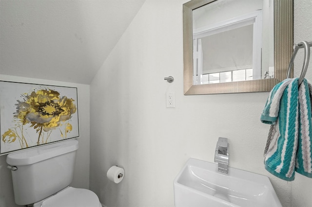 bathroom with lofted ceiling and toilet