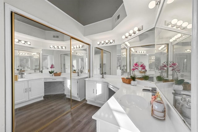 bathroom with wood-type flooring and vanity