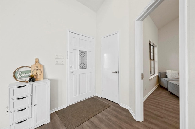 foyer entrance with dark hardwood / wood-style flooring