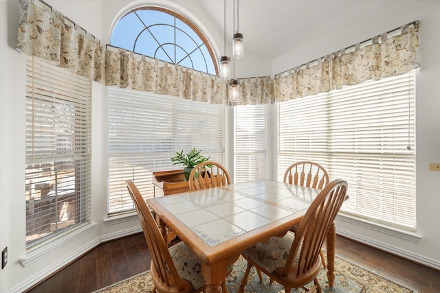 dining room with lofted ceiling, plenty of natural light, and wood-type flooring